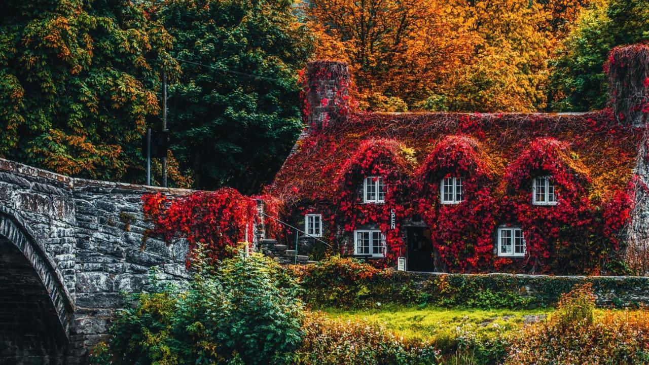Sterling Bed & Breakfast Llandudno Quarto foto